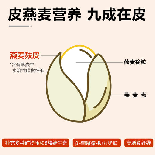 金谷力青藏高原有机皮燕麦片糯香皮燕麦750克早餐熟麦片 商品图3
