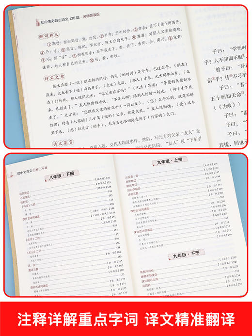 初中必背古诗文138篇文言文全解一本通解读 中学生初一初二初三古诗词文言文必背篇目译注与赏析阅读训练初中七八九年级鉴赏 商品图3