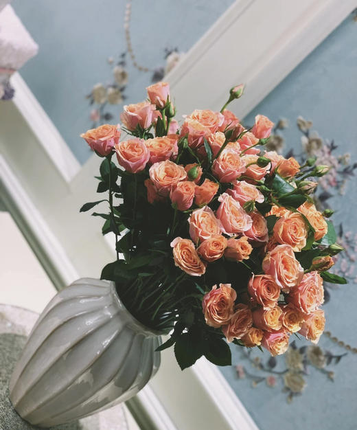 昆明玫瑰宝贝爱人多头10支扎a级