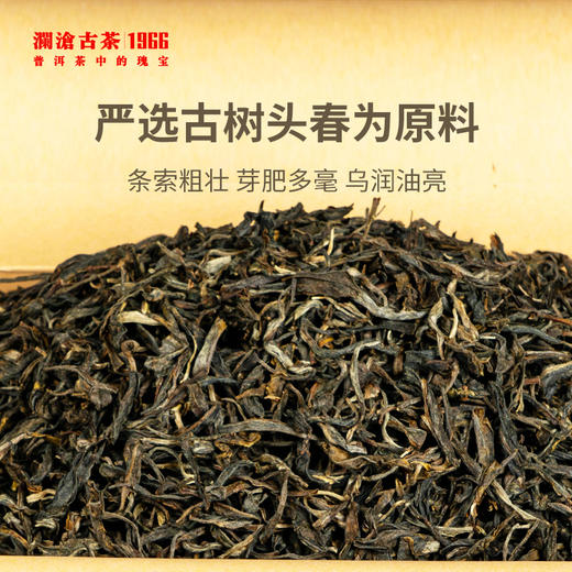 澜沧古茶香竹箐普洱生茶散茶500g 商品图1