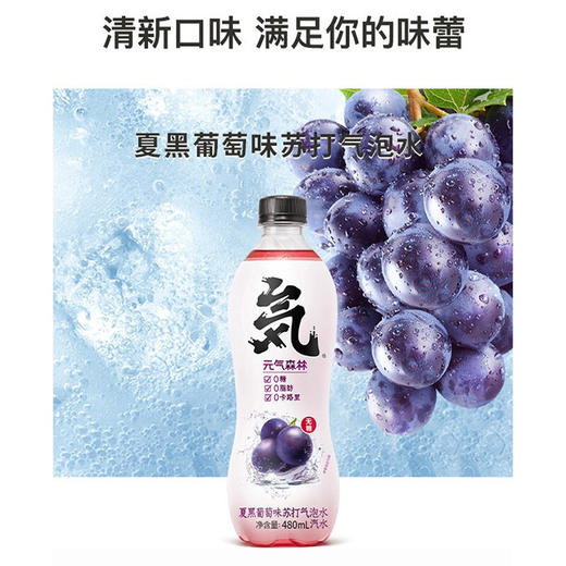元气森林气泡水480ml 商品图3