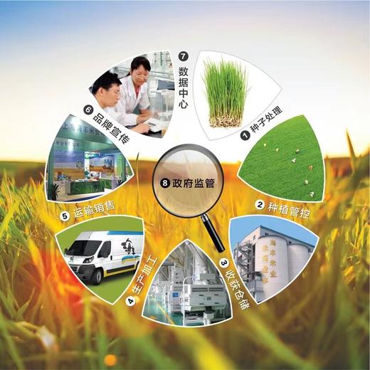 [最农公社]特惠主推|光明海丰优选米香糯米买10斤送10斤（数量有限售完恢复原价） 商品图8