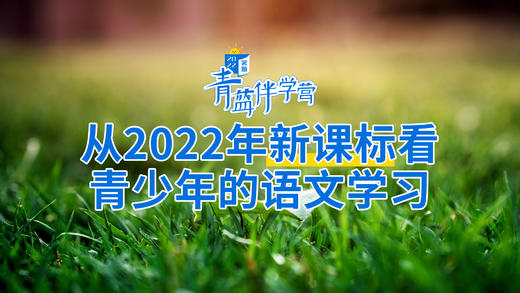 从2022年新课标看青少年的语文学习 商品图0