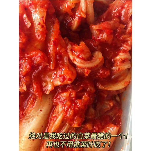 【每日食养】韩式辣白菜500g*5袋 商品图2