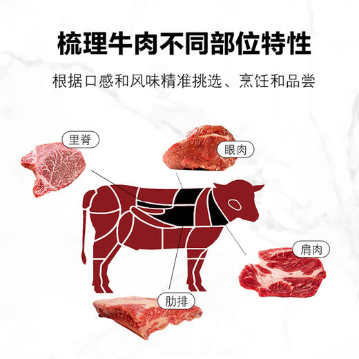 世界牛肉指南 商品图3