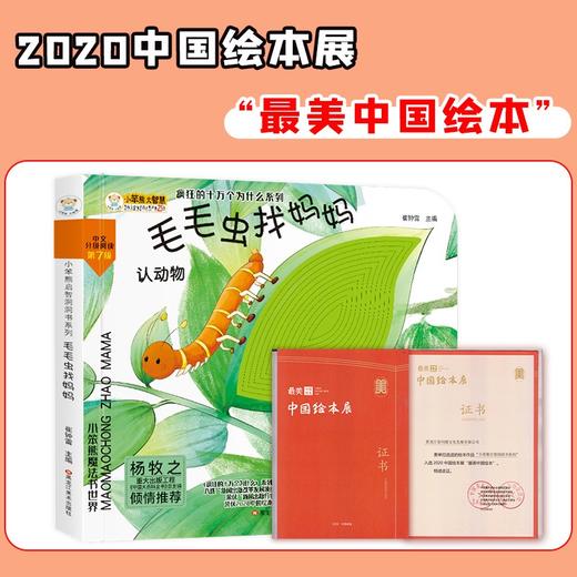 (仓发) 小笨熊 幼儿园早教翻翻书洞洞书 毛毛虫找妈妈翻翻书触摸书 精装3d立体书翻翻书 婴幼儿情景体验认知早教绘本揭秘宝宝益智撕不烂游戏书 睡前故事 /9787559353054 商品图2