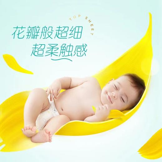 一级帮宝适全系列（纸尿裤/拉拉裤） 商品图3