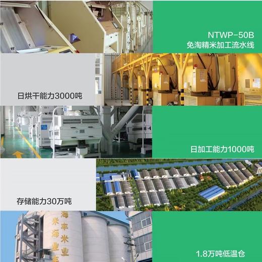 [最农公社]特惠主推|光明海丰优选米香糯米买10斤送10斤（数量有限售完恢复原价） 商品图7