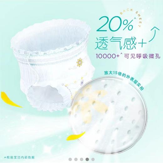 一级帮宝适全系列（纸尿裤/拉拉裤） 商品图5