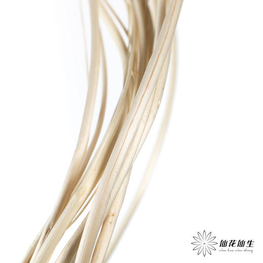 永生花材 ｜ 曲柳白 商品图3