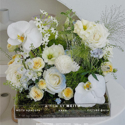 浅夏轻柔 · 亚克力花盒 商品图0