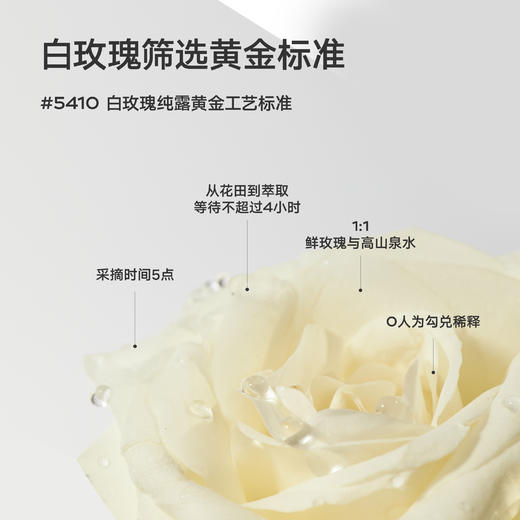 DAISY SKY雏菊的天空丨白玫瑰纯露318ml 商品图2