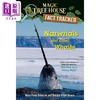 【中商原版】Magic Tree House Fact Tracker42 Narwhals and Other Whales 神奇树屋小百科42 儿童章节故事Mary Pope Osborne 商品缩略图0