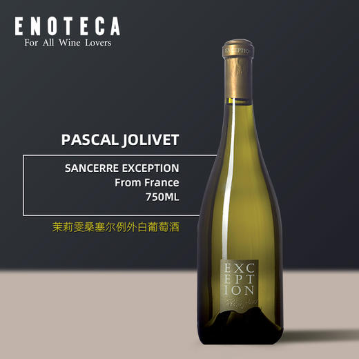 茉莉雯桑塞尔例外白葡萄酒 PASCAL JOLIVET SANCERRE EXCEPTION 2019 750ml 商品图0