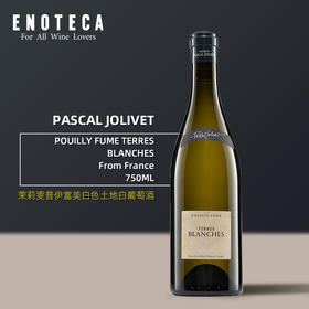 茉莉雯普伊富美白色土地白葡萄酒 PASCAL JOLIVET POUILLY FUME TERRES BLANCHES 2019 750ml