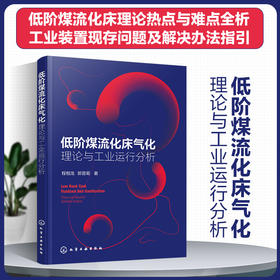 低阶煤流化床气化——理论与工业运行分析