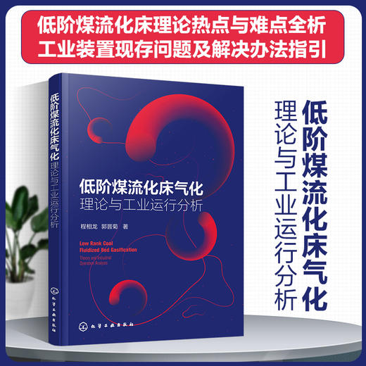 低阶煤流化床气化——理论与工业运行分析 商品图0