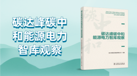 《碳达峰碳中和能源电力智库观察》出版