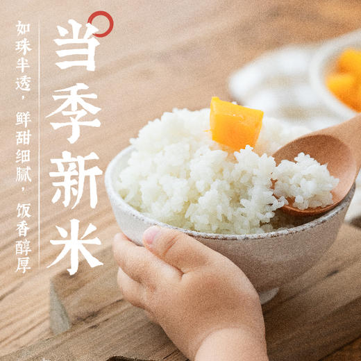 【惠州外运】袁隆平大米 吉林小町 塞外小江南生长基地  5kg 商品图2