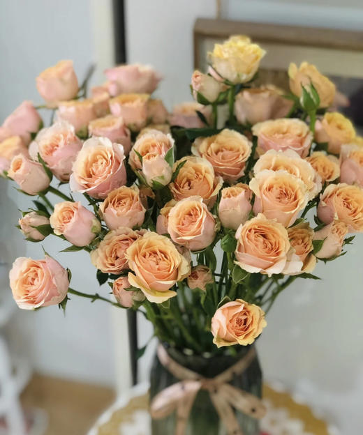 昆明玫瑰宝贝爱人多头10支扎a级