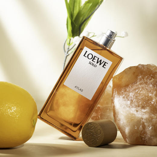 罗1威 唯一地图集 L0ewe Solo Atlas 分装 商品图2