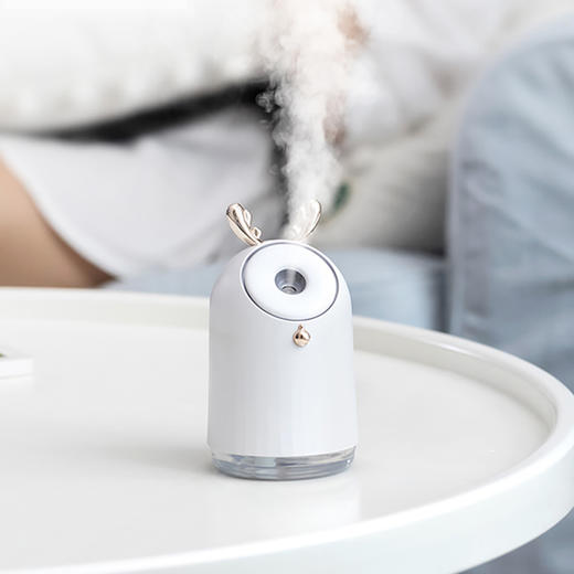 名创优品叮当加湿器DL1 商品图0