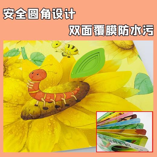 (仓发) 小笨熊 幼儿园早教翻翻书洞洞书 毛毛虫找妈妈翻翻书触摸书 精装3d立体书翻翻书 婴幼儿情景体验认知早教绘本揭秘宝宝益智撕不烂游戏书 睡前故事 /9787559353054 商品图5