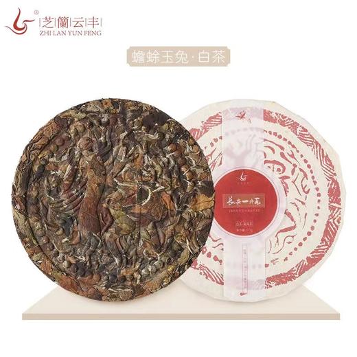 一片瓦系列组合装：勐海白茶 普洱生茶 普洱晒红茶 商品图1