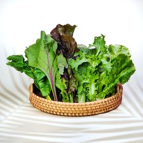 올가푸드 셀러드모둠120g