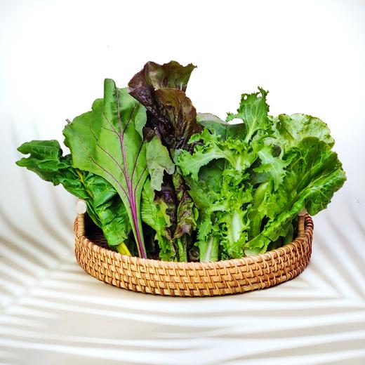 올가푸드 셀러드모둠120g 商品图0