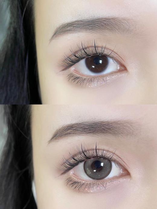 BEELOOK品牌-招财肥猫 商品图4