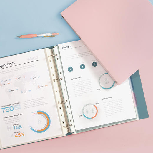 齐心 A6198 颜选莫兰迪软手提风琴包 A4 13格 商品图3