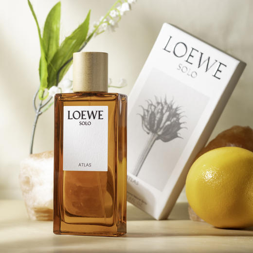 罗1威 唯一地图集 L0ewe Solo Atlas 分装 商品图6