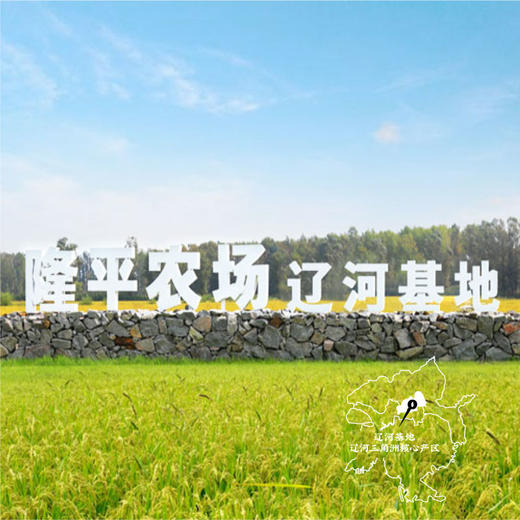 【食堂采购专享】袁隆平大米 鹤乡珍米  25kg 商品图4