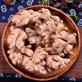 小黄姜（约250g）