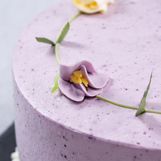 【酸奶蓝莓】手工希腊酸奶蛋糕 | 旋木烘焙 商品图2