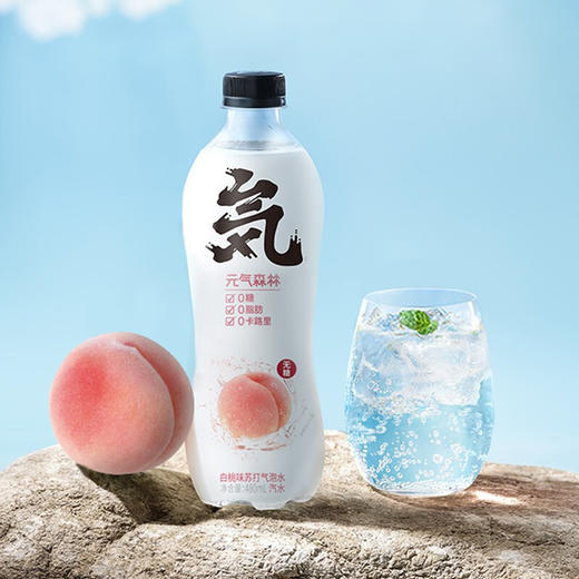 元气森林气泡水480ml 商品图0