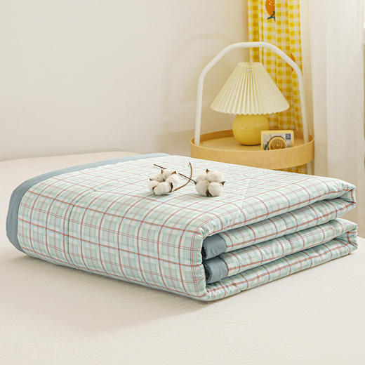棉花夏凉被小碎花空调被薄被子夏被 商品图7