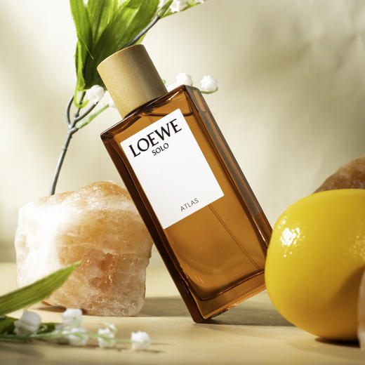 罗1威 唯一地图集 L0ewe Solo Atlas 分装 商品图1