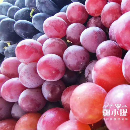 吐鲁番三色葡萄 /（无核白+玻璃翠+无核紫）加送保鲜袋）4斤/件 商品图3