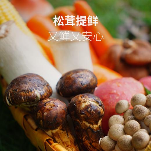 【清心湖】松鲜鲜松茸调味料90g袋装 厨房调味 天然无添加剂 商品图3