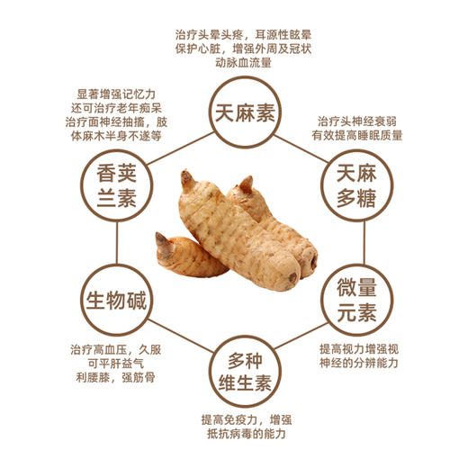 【册选 - 贵州深山老林野生老天麻】中药材滋补营养保健 药食两用 精品天麻250g 商品图3