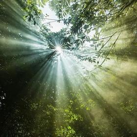 这个月很多人容易身体不舒服，养生有哪些宜忌？