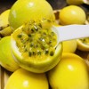 吃海芒芒 | 蜜香高甜百香果 商品缩略图2