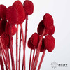 永生花材 ｜ 黄金球宝石红 商品缩略图0