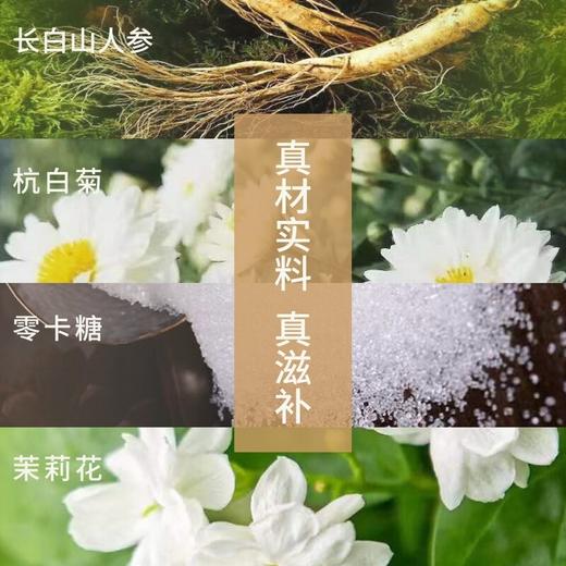 一整根人参水1号480ml（T） 商品图1