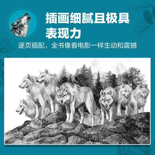 奇迹小狼 商品图3