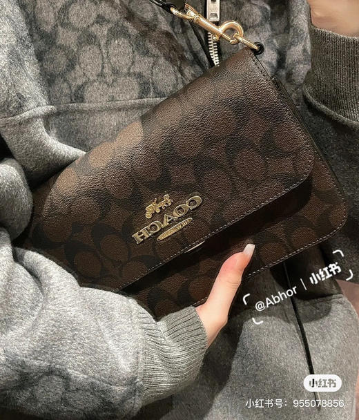 蔻家腋下包 Brynn-老花 商品图3