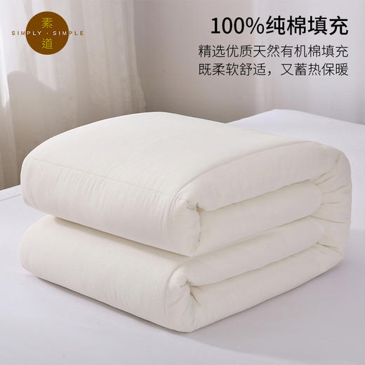 素道天然有机彩棉 新款浣纱纯棉厚被 加厚保暖冬被 秋冬保暖被褥 商品图4