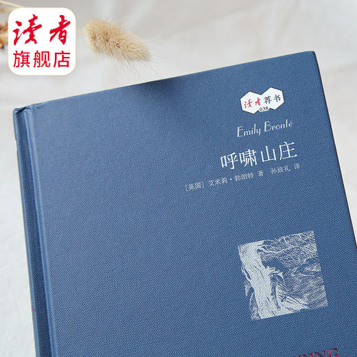 《呼啸山庄》艾米莉·勃朗特/著  孙致礼/译 【读者荐书38】 商品图3